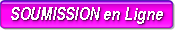 SOUMISSION en Ligne